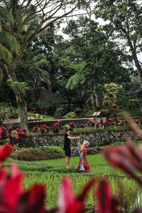 Ijen Resort And Villas - The Hidden Paradise Banyuwangi  Exterior foto
