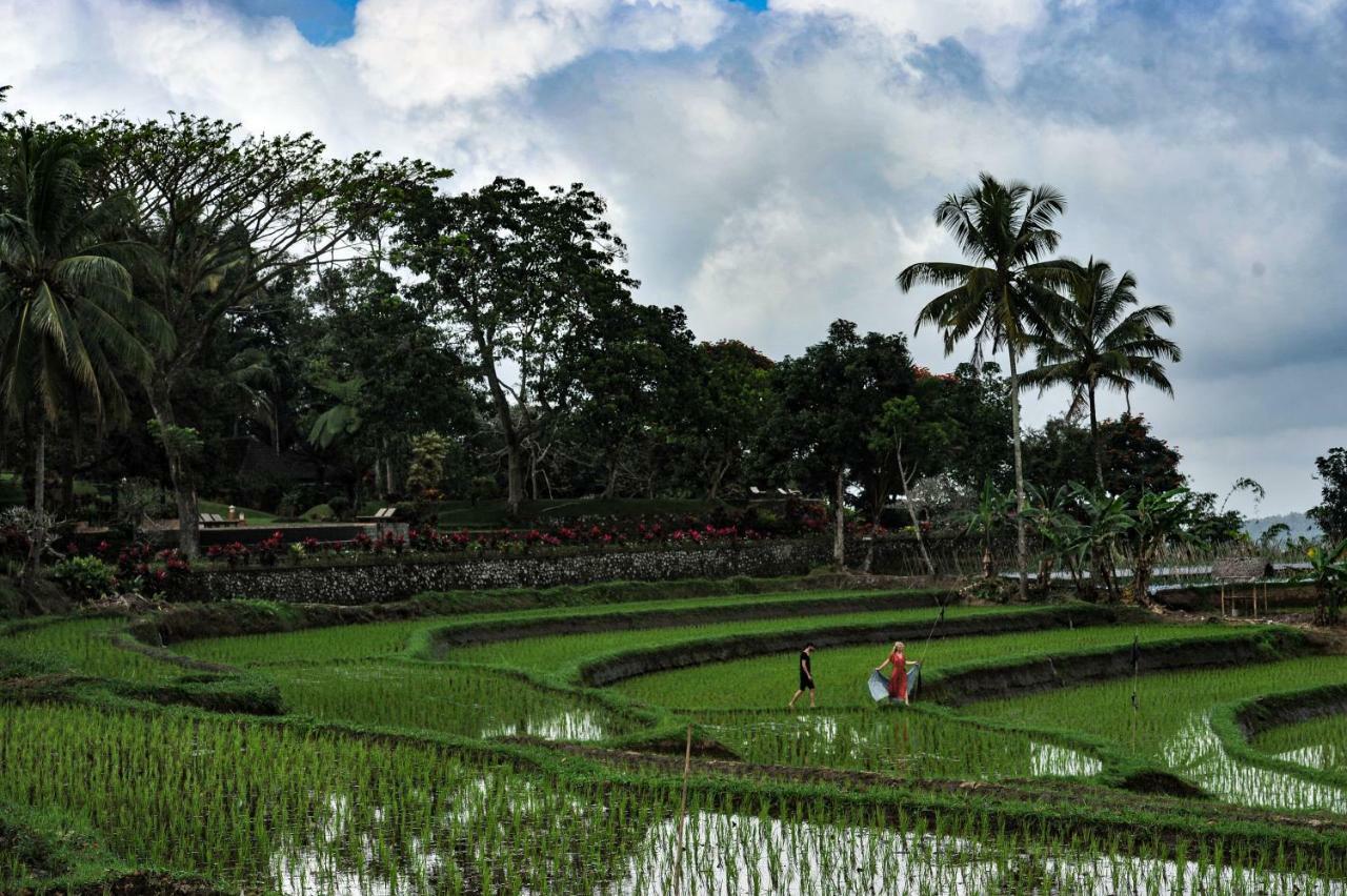 Ijen Resort And Villas - The Hidden Paradise Banyuwangi  Exterior foto